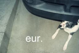 Eur