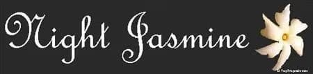 Night Jasmine
