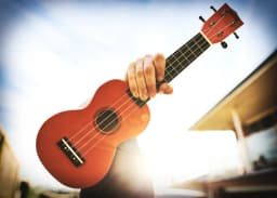 Chord Thief