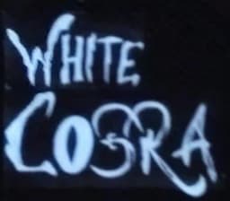 White Cobra