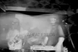 Wheat Fields