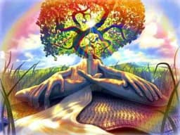 LSD Pingers