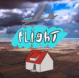 Plane Flight Home