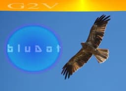 bluDot