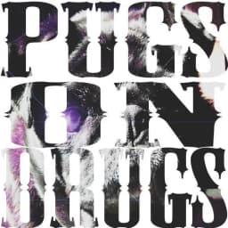 Pugs On Drugs