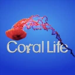 Coral Life