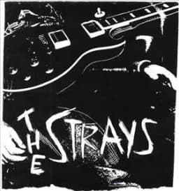Strays