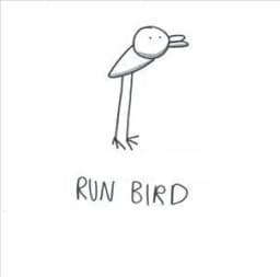 Run Bird