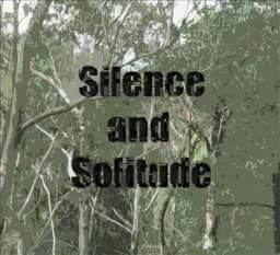 Silence and Solitude