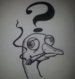 Mystery Goose
