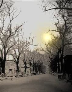 Impossible Sun