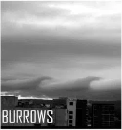 Burrows