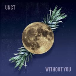 UNCT