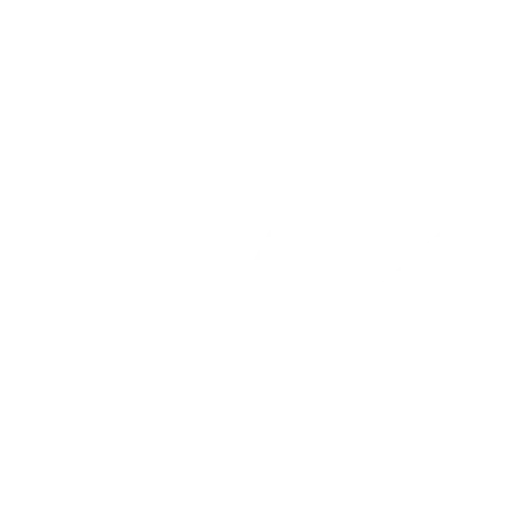 FLVNX
