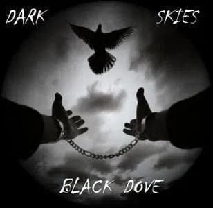 BLACK DOVE