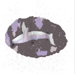 Cala Luna