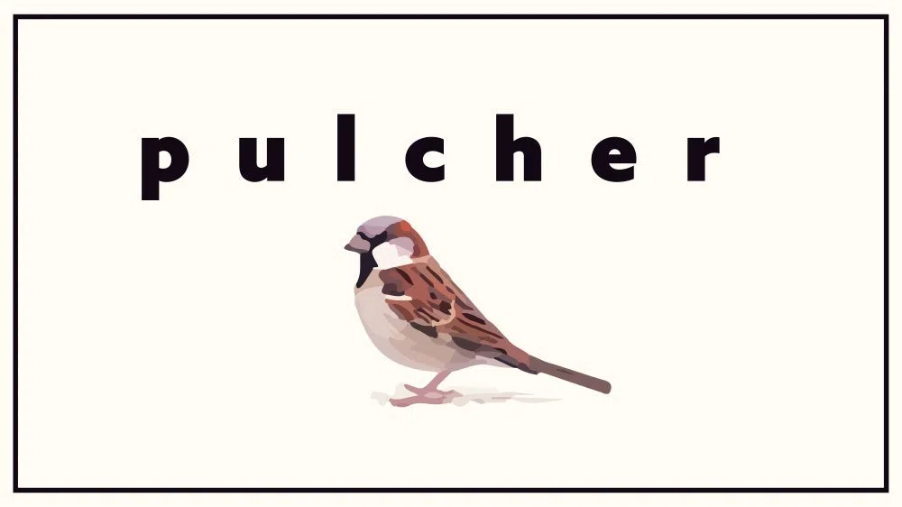 Pulcher