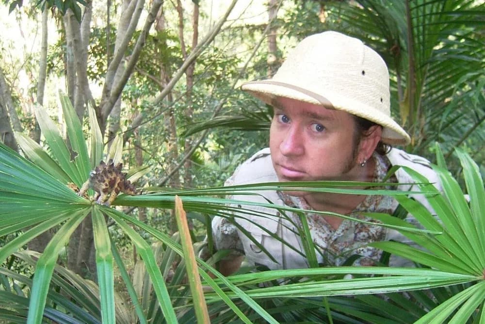 Jurassic Joe