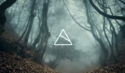 TRANSIENT PARK