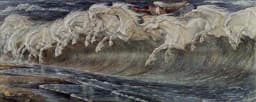 Fetlocks