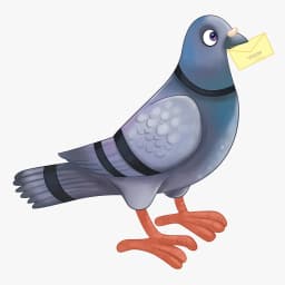 Carrier Pigeon
