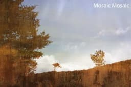 Mosaic Mosaic
