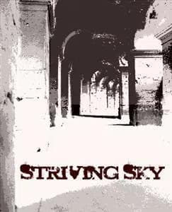striving sky