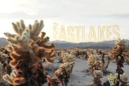 eastlakes