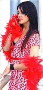 Kitten
