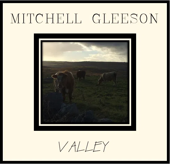 Mitchell Gleeson