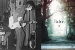 fuchsia (the Psych/folk original)