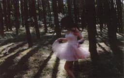 Haunted Oaks