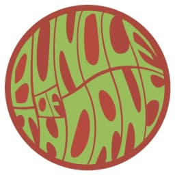 Bundle of Thorns