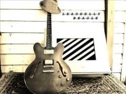 Leadbelly Beagle