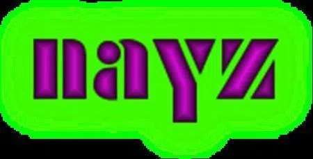 nayz