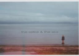 the selkie & the sea