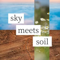 sky meets soil