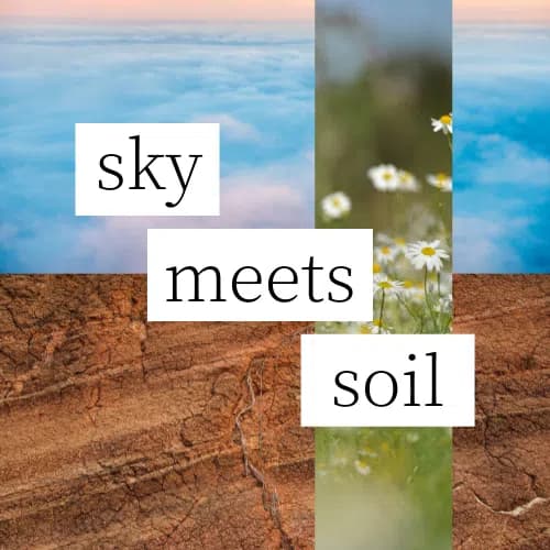 sky meets soil