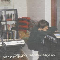 Windsor Thieves