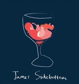 James and the Sidebottom Band