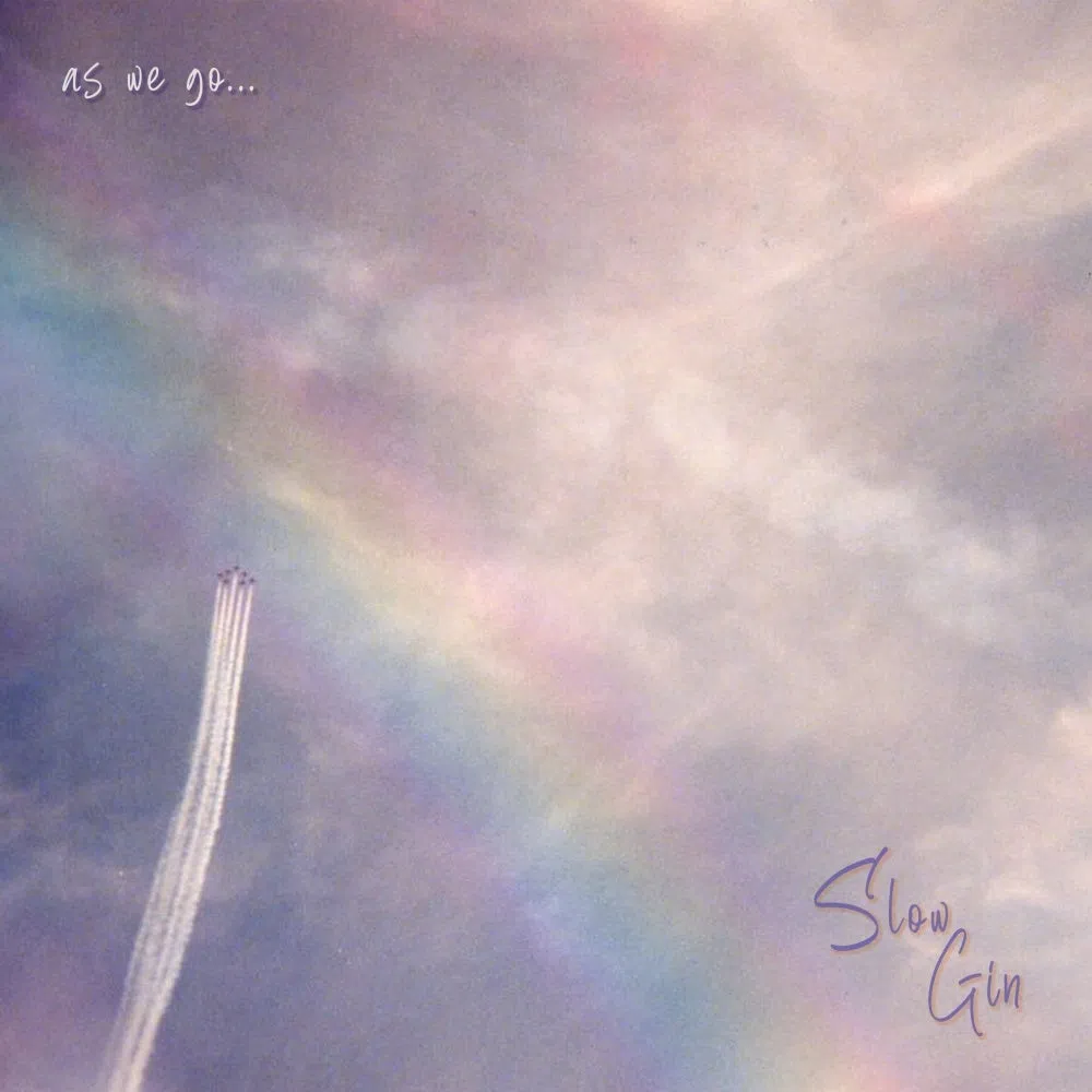 Slow Gin
