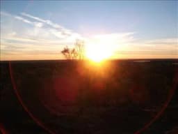 Dawn Came