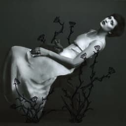 The Velveteen