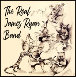 The Real James Ryan Band
