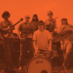 The Delicates