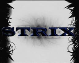 Strix.