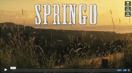 Springo