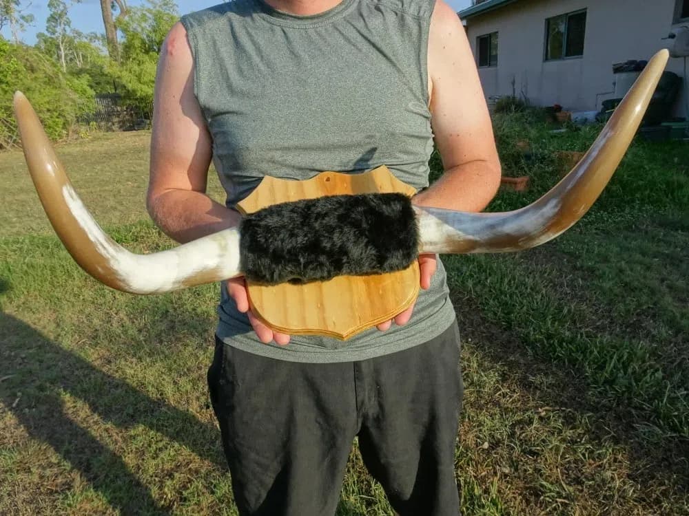 HornGuy