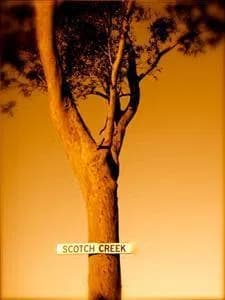 Scotch Creek