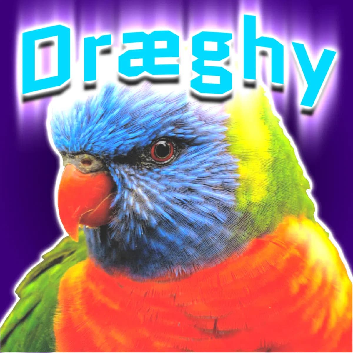 Dræghy